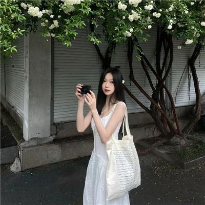 犬犬风尘